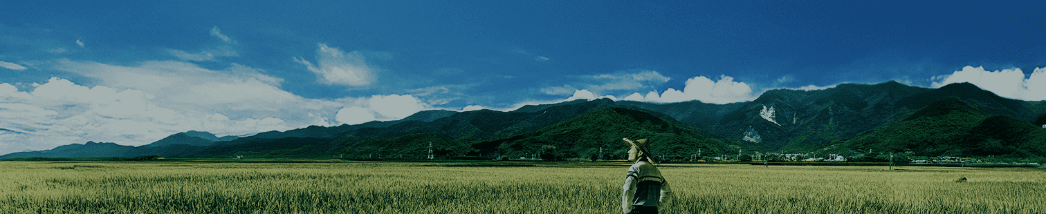 台新新光慶祝行銷活動 | 台新新光金控