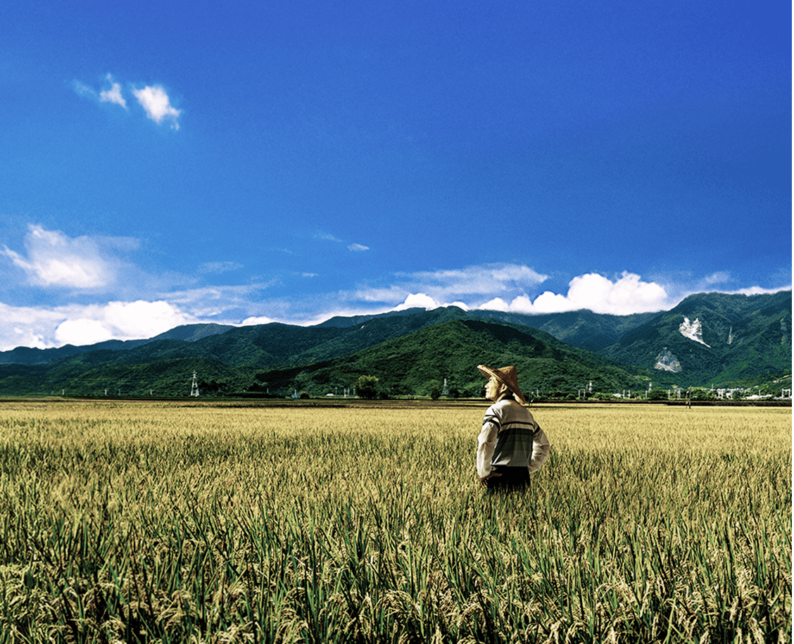 台新金控支持在地中小企業、青創與手作職人，提供資源培育、技術指導，落實社會共融與經濟永續發展。 | 台新新光金控